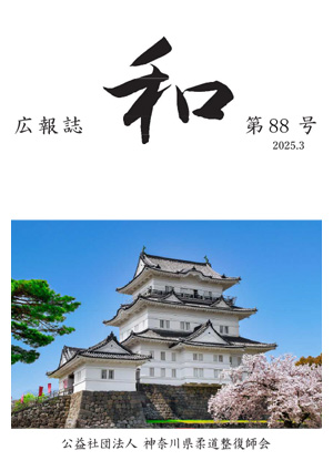 第87号